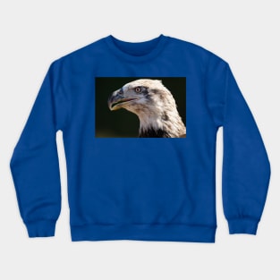 Bald Eagle portrait Crewneck Sweatshirt